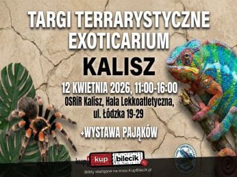 Kalisz Wydarzenie Inne wydarzenie Exoticarium - Targi Terrarystyczne w Kaliszu! + Wystawa Pająków
