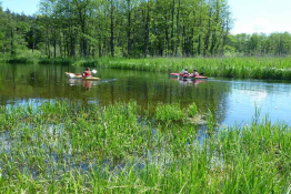 Krutyń Atrakcja Spływ kajakowy Wodniak 