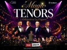 Kalisz Wydarzenie Koncert Orkiestra Le Figaro - nowy program, nowe emocje!